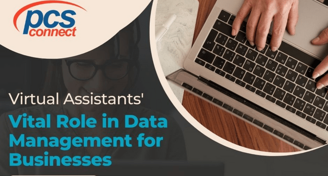 Experienced Virtual Assistants